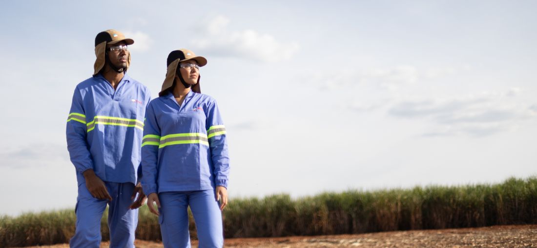 Tereos reduz em 41% acidentes com afastamento e reforça cultura de segurança