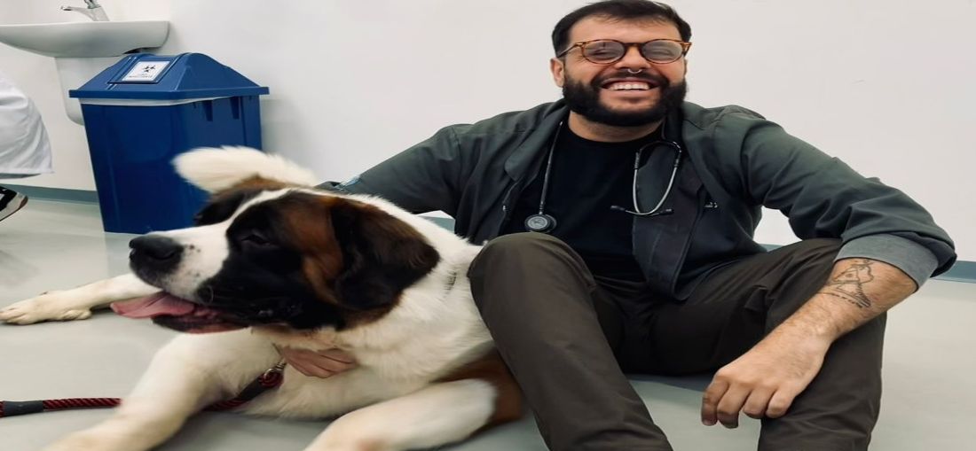 Pets precisam de cuidados especiais para evitar estresse em dias de jogos da Copa do Mundo, alerta veterinário
