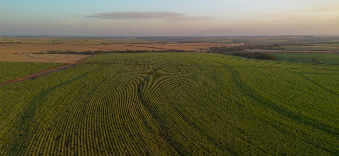 Tereos recebe certificação Regenagri e se torna a segunda empresa do setor sucroenergético a ser reconhecida por práticas de agricultura regenerativa