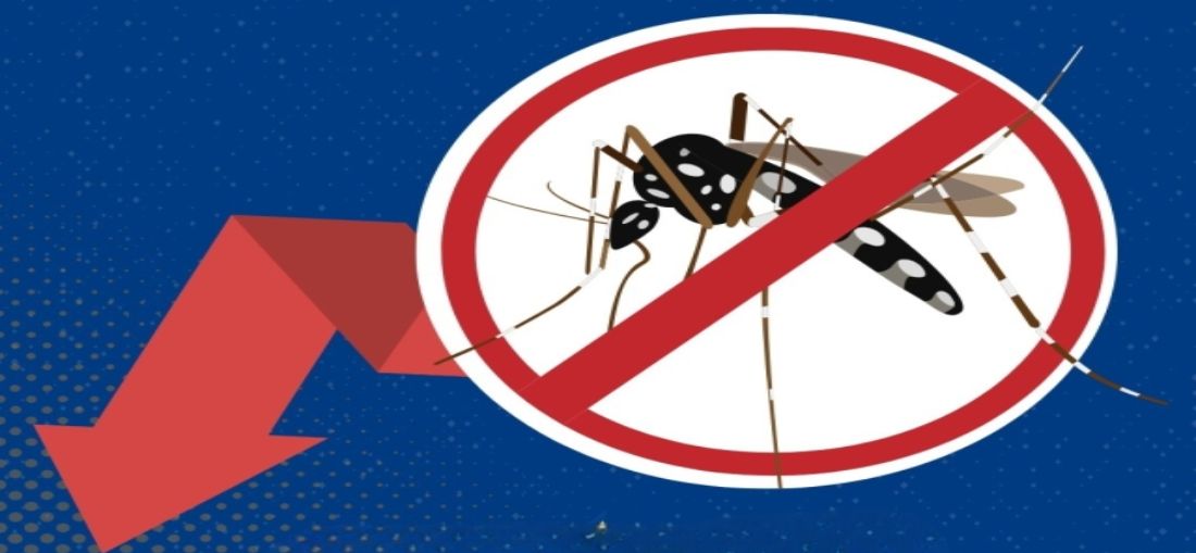 Catanduva registra queda na densidade larvária do Aedes aegypti e redução de 93% nos casos de dengue