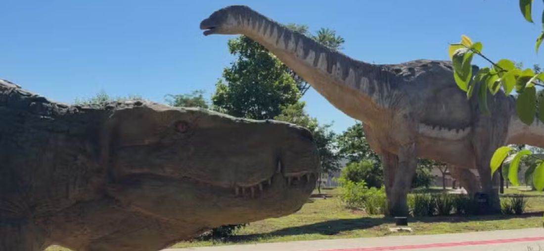 Conhecida pela descoberta de fósseis, Uchoa (SP) inaugura Parque dos Dinossauros com réplicas em tamanho real — Foto: TV TEM/Reprodução 