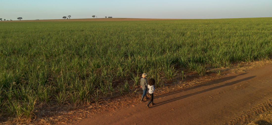 Foto: Divulgação Tereos