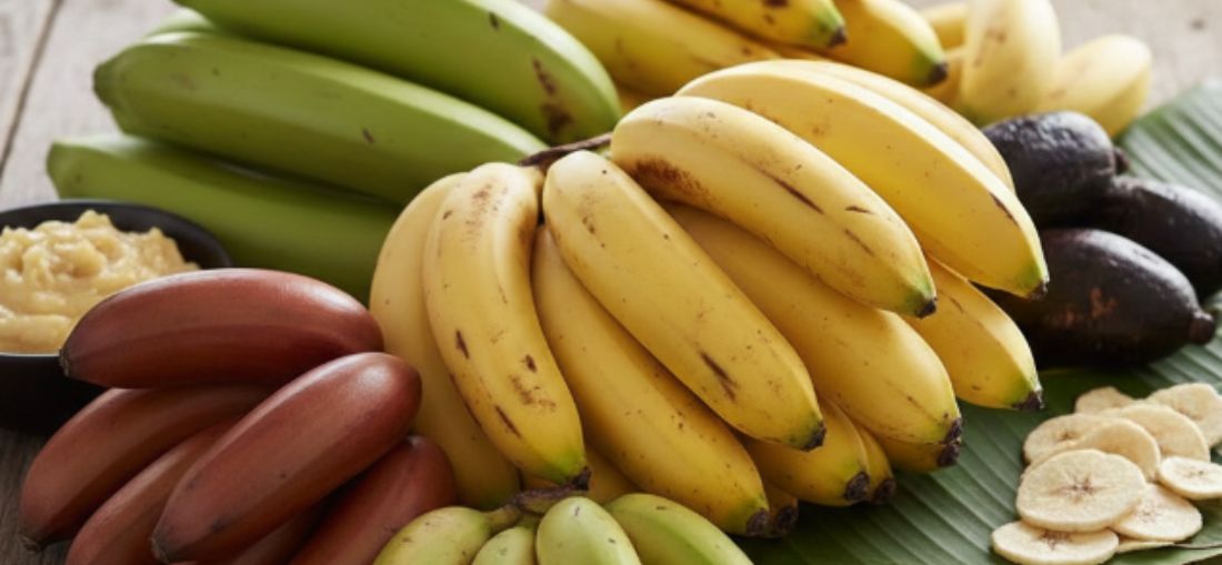 Do prato principal à sobremesa: conheça os tipos de banana e como usar cada um na cozinha